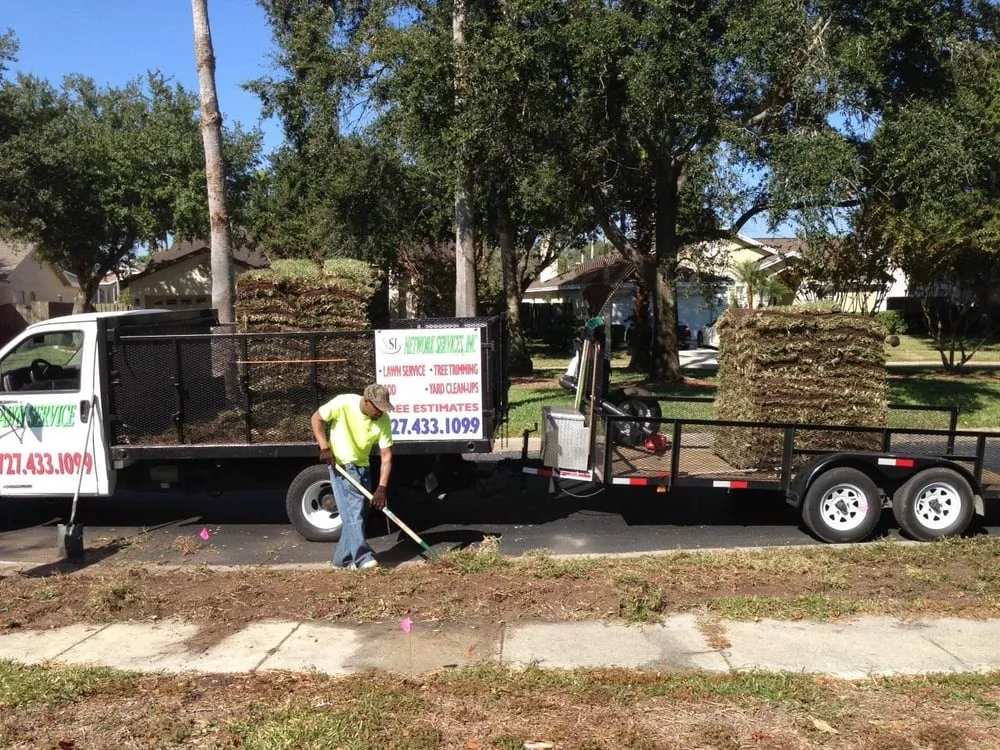 Top-rated yard cleanup service with custom design in Palm Harbor, FL by Network Lawn Services