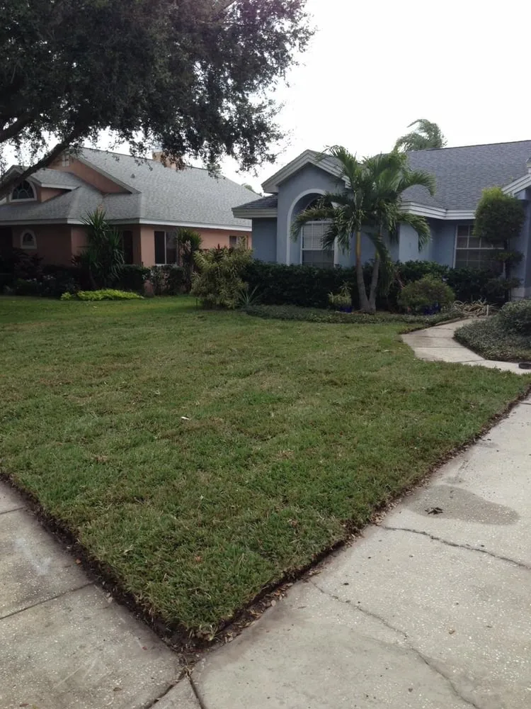 Expert landscape installation experts serving Palm Harbor, FL - Network Lawn Services