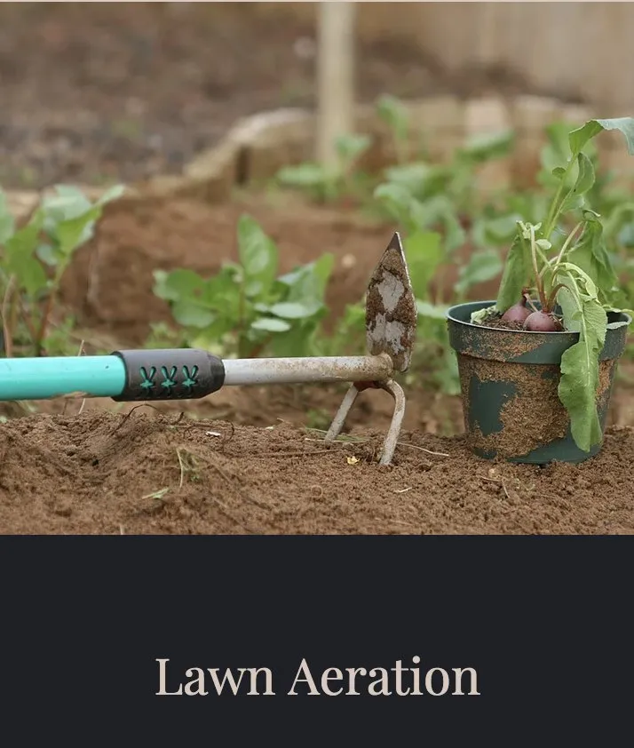 Trusted lawn mowing service in El Dorado Hills, CA - Netzach Landscaping