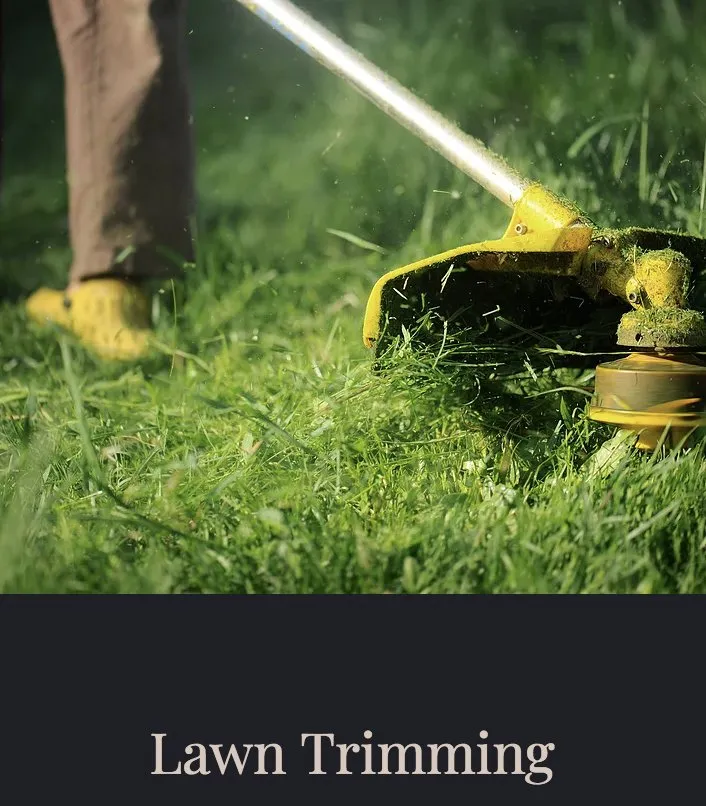 Top-rated residential landscaping for homes across El Dorado Hills, CA - Netzach Landscaping