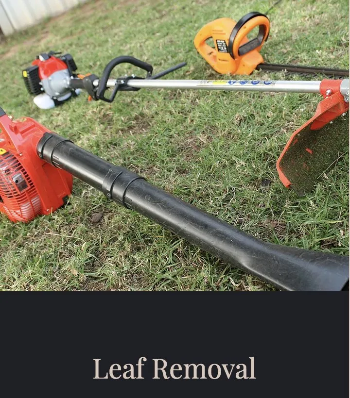 Affordable garden landscaping for residential properties in El Dorado Hills, CA by Netzach Landscaping