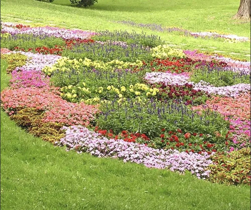 Top-rated outdoor landscaping for residential properties in El Dorado Hills, CA by Netzach Landscaping