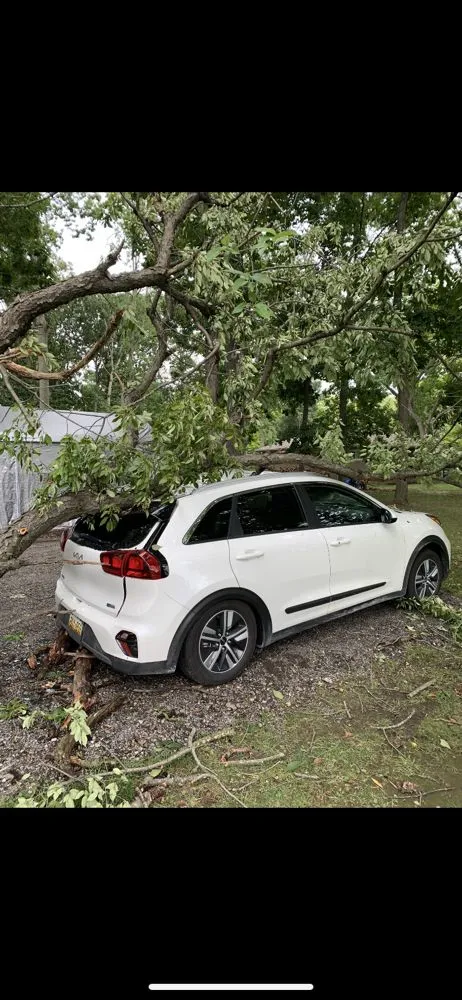 Trusted landscape design for homes in Ann Arbor, MI by NetZero Property Services