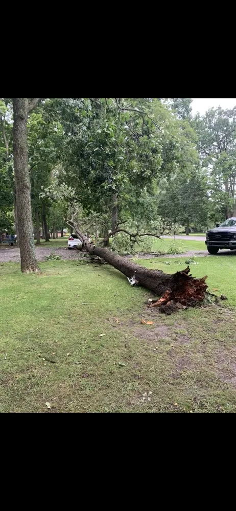 Professional outdoor landscaping experts serving Ann Arbor, MI - NetZero Property Services