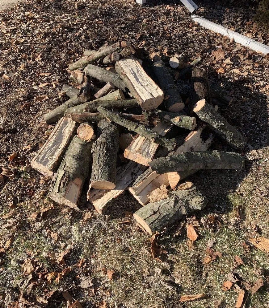 Local garden landscaping for beautiful yards in Ann Arbor, MI by NetZero Property Services