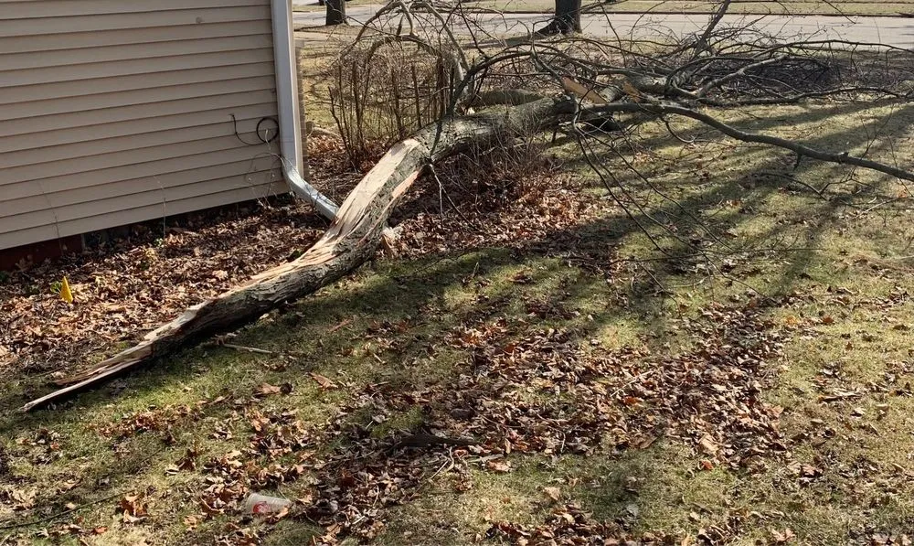 Top-rated yard maintenance in Ann Arbor, MI by NetZero Property Services