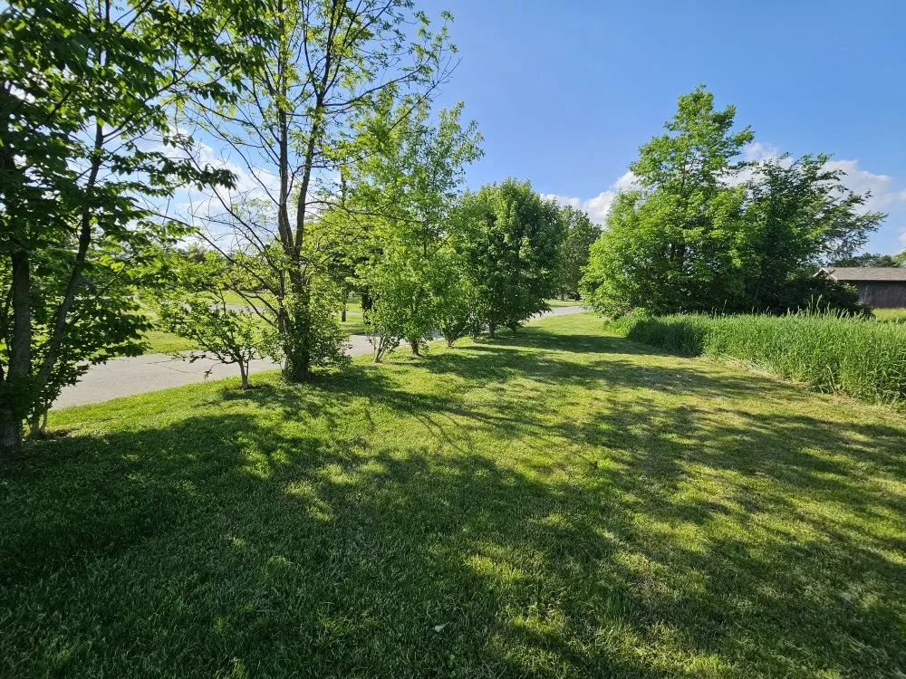 Trusted landscaping services in Lima, OH by Neu Landscapes