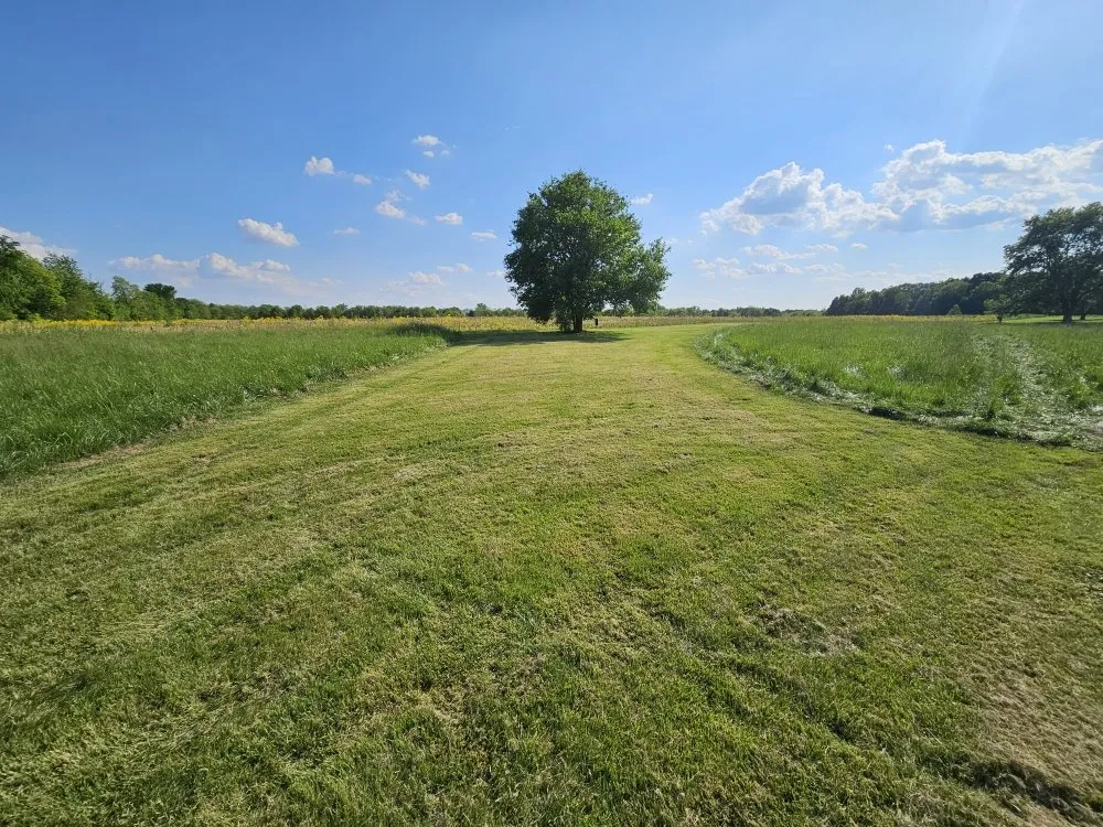 Reliable yard maintenance in Lima, OH - Neu Landscapes