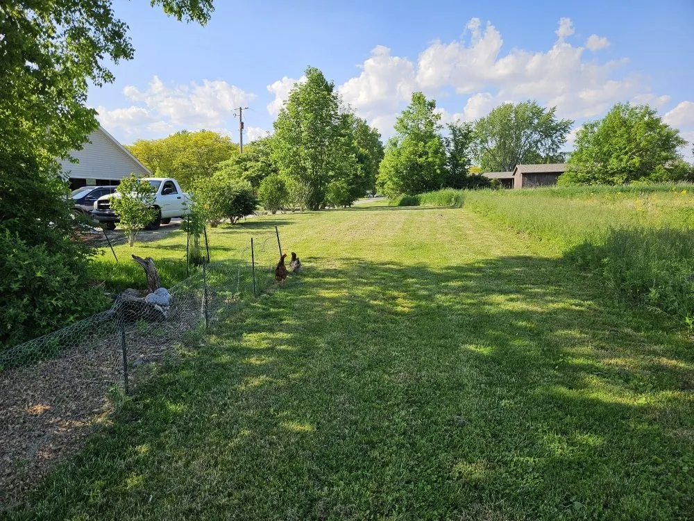 Expert lawn mowing service in Lima, OH by Neu Landscapes