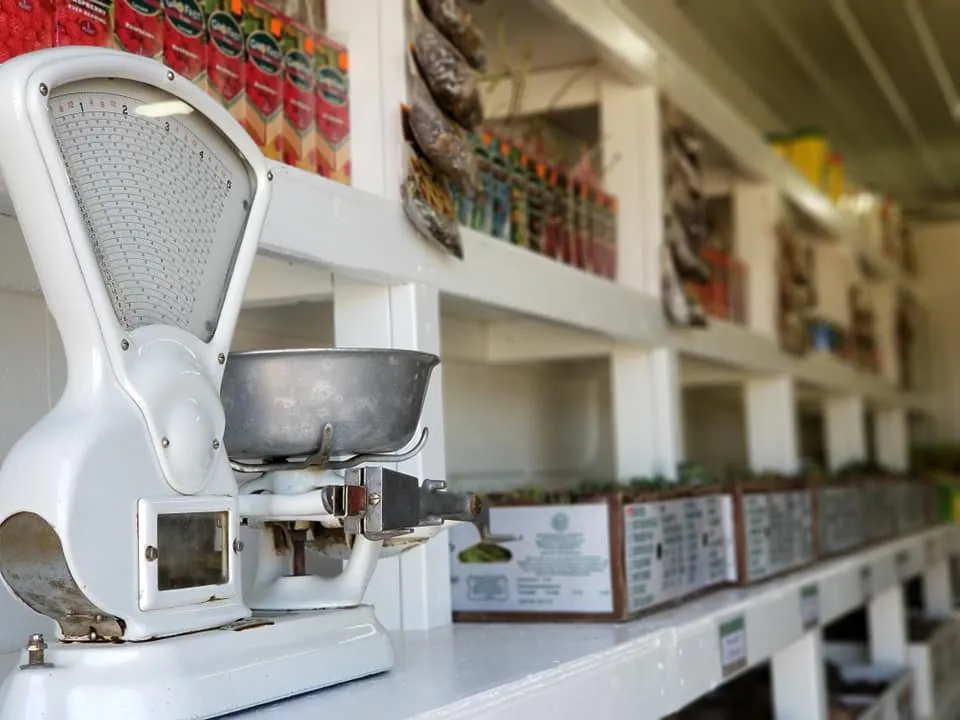 Local landscaping services in Glencoe, MN - Neubarth Lawn Care & Landscaping