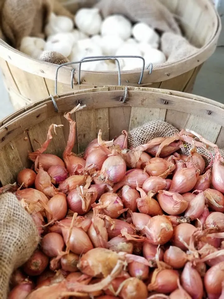 Affordable landscaping services for homes in Glencoe, MN by Neubarth Lawn Care & Landscaping