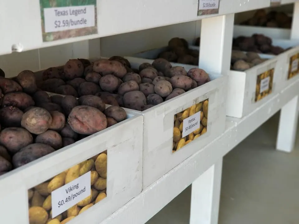 Trusted landscape design near you across Glencoe, MN - Neubarth Lawn Care & Landscaping