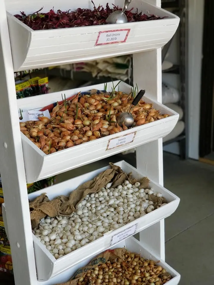 Top-rated lawn mowing service in Glencoe, MN - Neubarth Lawn Care & Landscaping