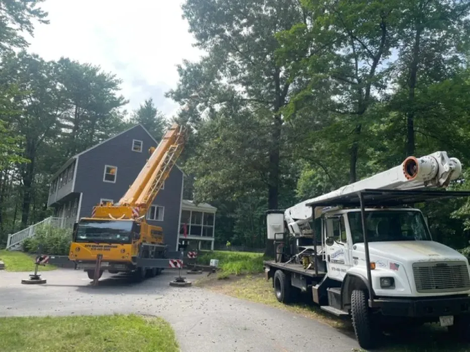 Professional garden landscaping for year-round maintenance in Littleton, MA by Neufell Tree and Landscape