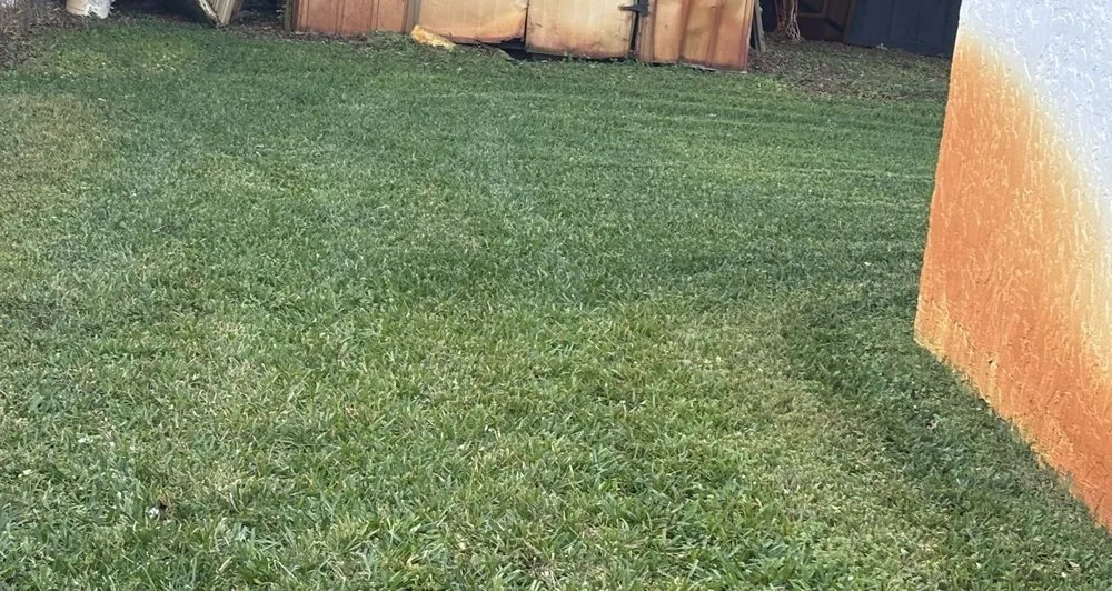 Affordable landscape installation near you across Riviera Beach, FL - Neuma R Lawn Maintenance