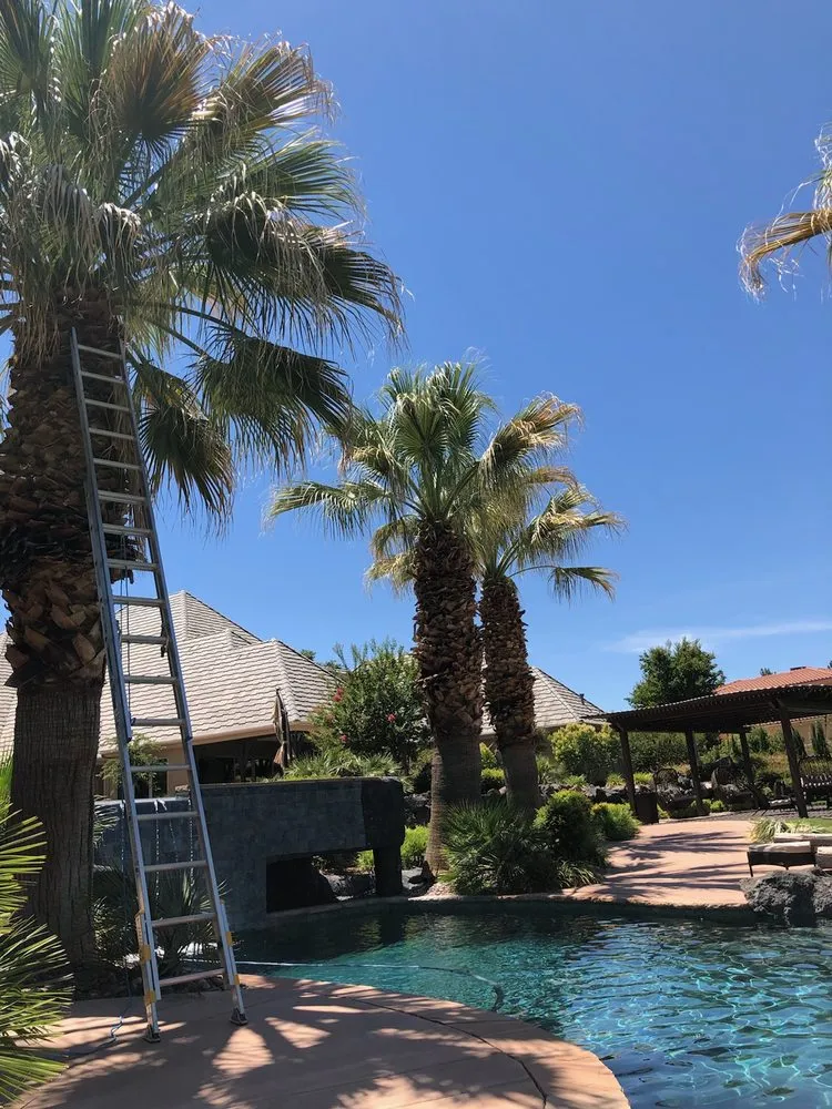 Custom yard cleanup service in St. George, UT by Neumann Brothers Landscape