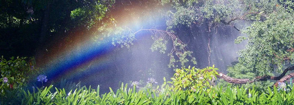 Professional outdoor landscaping with custom design across Jerome, ID - Neuscapes