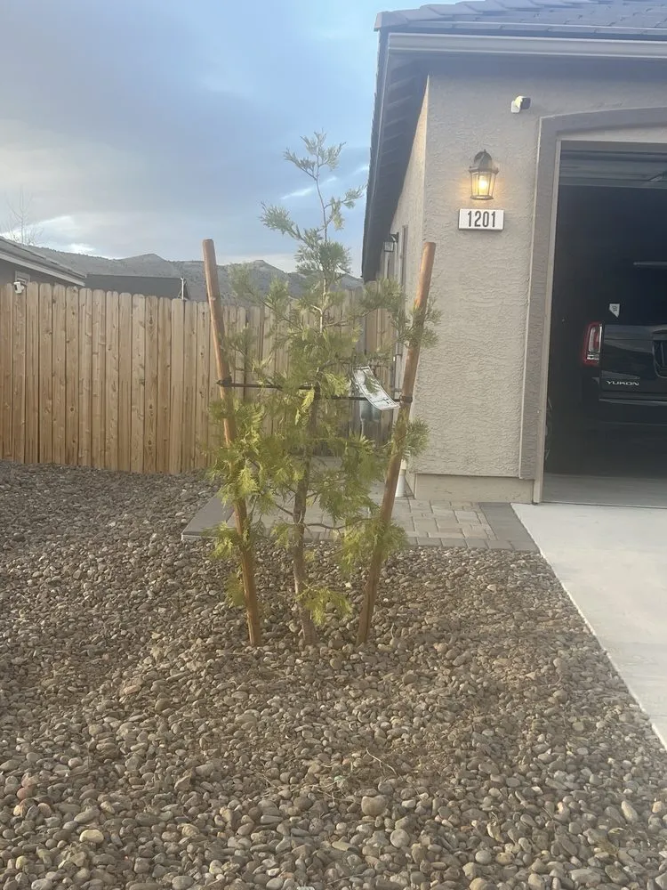 Reliable garden landscaping experts serving Reno, NV - Nevada Basin Custom Landscaping