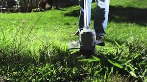Professional lawn care service for homes across Meadow Vista, CA - Nevada county WeedEating