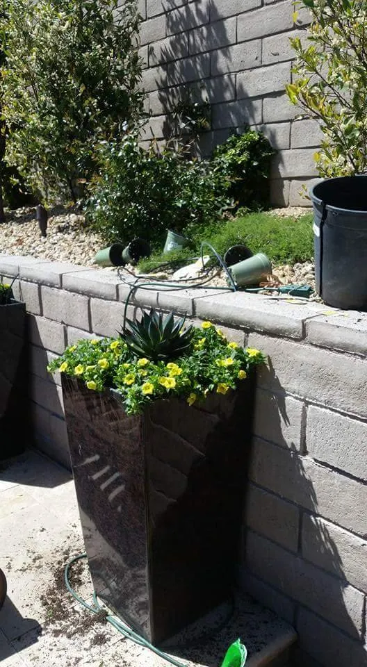 Top-rated landscape installation with custom design across Las Vegas, NV - Nevada Elite Landscaping