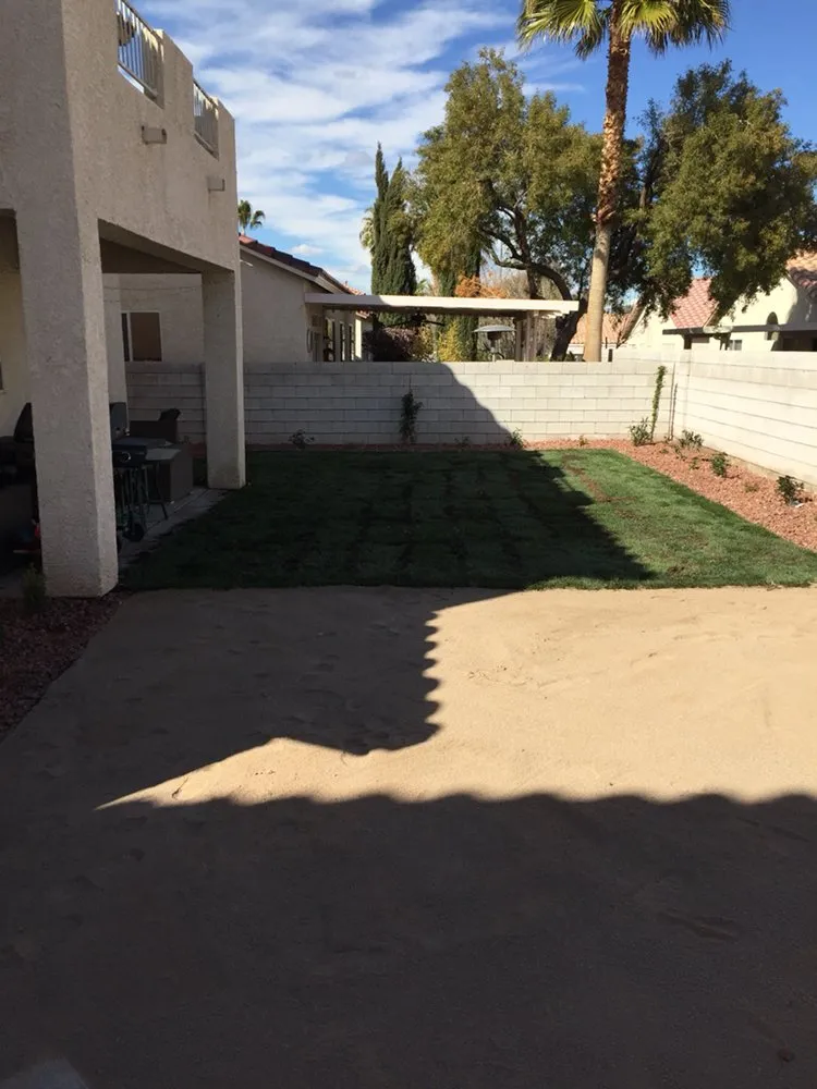 Expert yard maintenance in Las Vegas, NV - Nevada Elite Landscaping