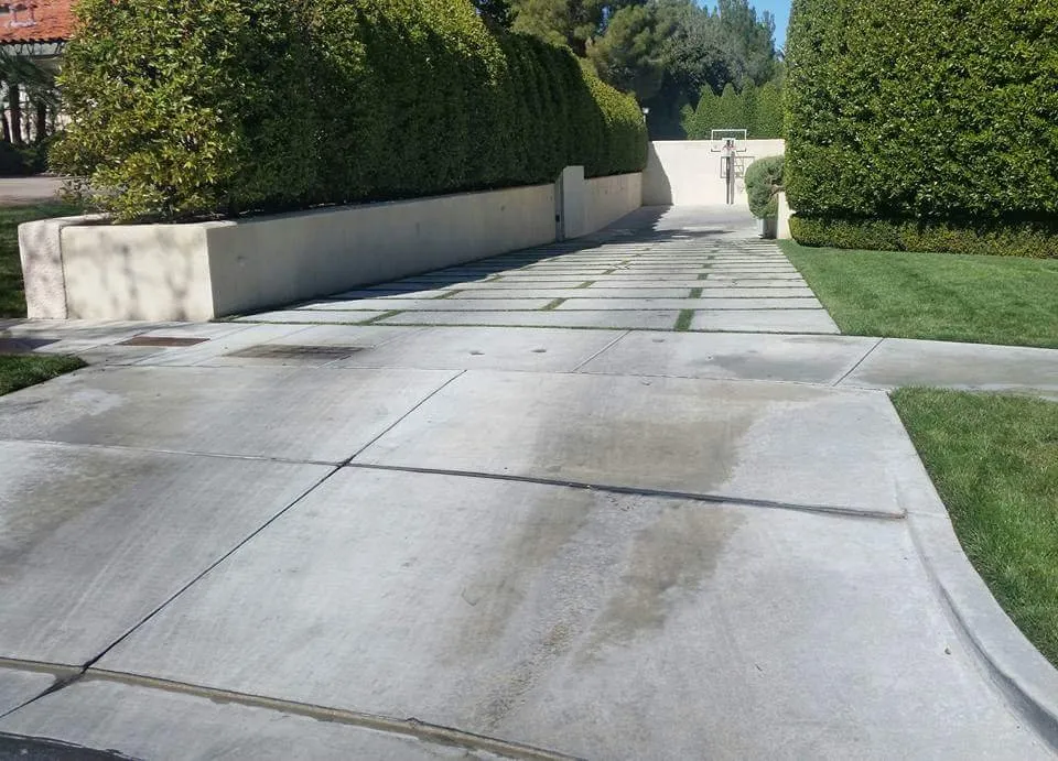 Professional yard maintenance in Las Vegas, NV - Nevada Elite Landscaping