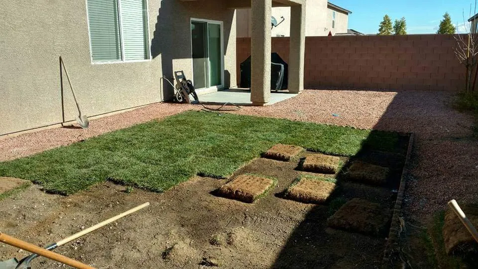 Custom garden landscaping in Las Vegas, NV by Nevada Elite Landscaping
