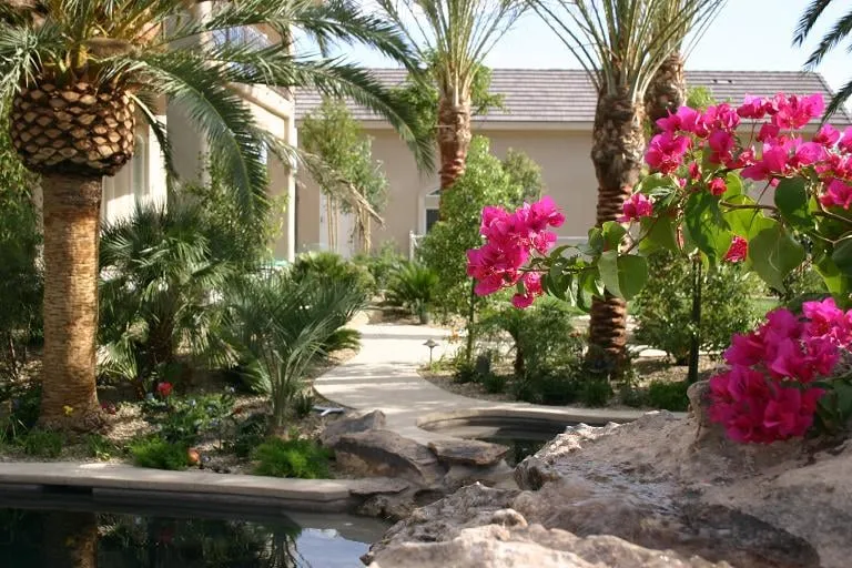 Custom lawn care service for beautiful yards in North Las Vegas, NV by Nevada Roseland