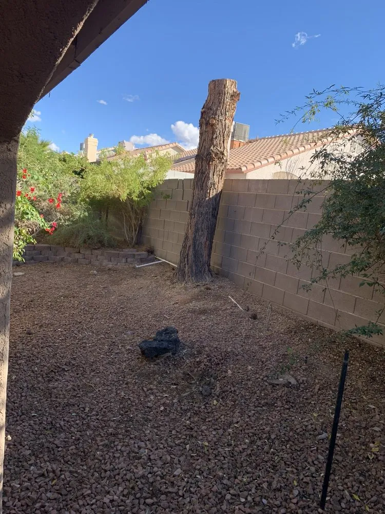 Top-rated landscape installation in Las Vegas, NV - Nevada Tree & Landscaping