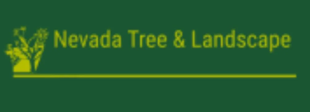 Professional residential landscaping with custom design across Las Vegas, NV - Nevada Tree & Landscaping