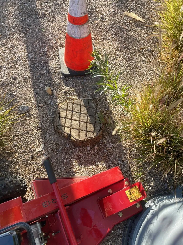 Affordable lawn care service for outdoor upgrades across Las Vegas, NV - Nevadas Quality Tree’s