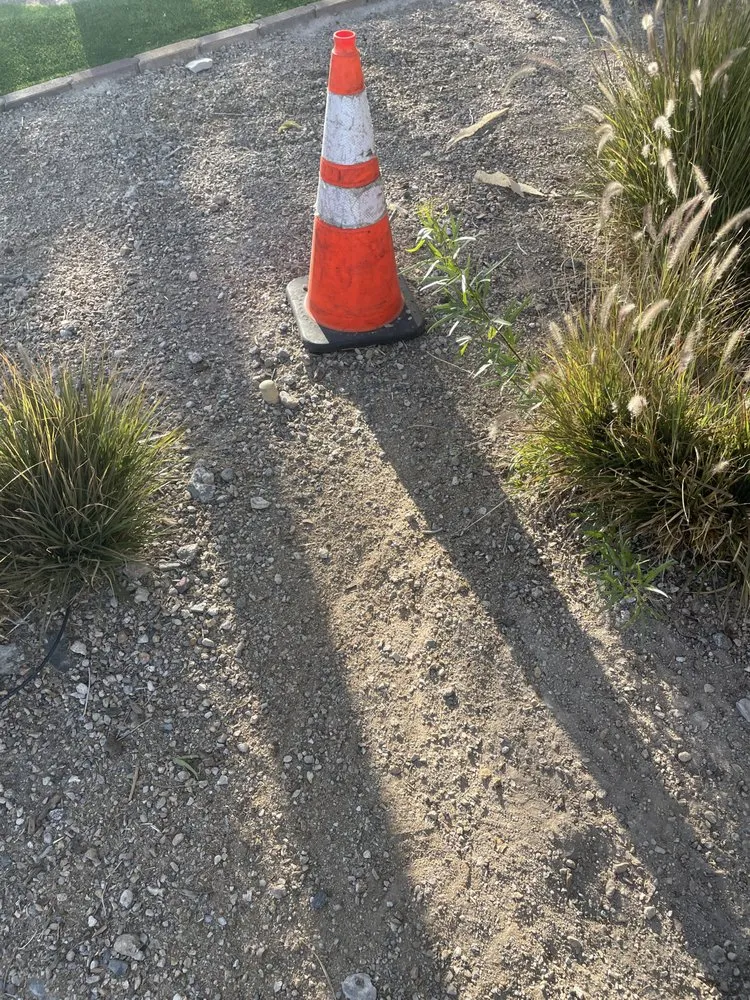 Reliable lawn care service experts serving Las Vegas, NV - Nevadas Quality Tree’s