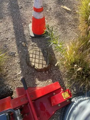 Nevadas Quality Tree’s Logo