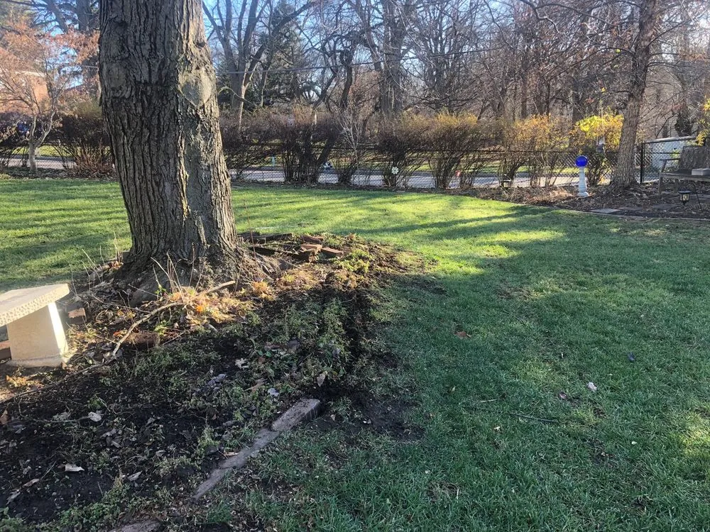 Expert lawn mowing service experts serving Omaha, NE - Nevado Landscaping