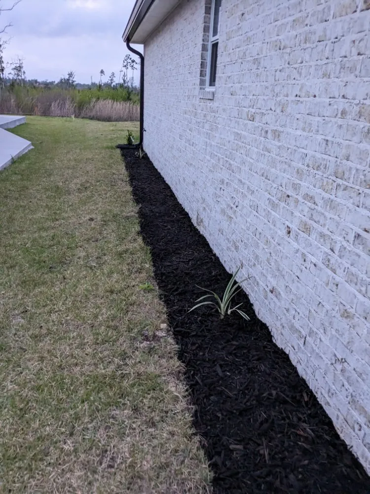 Local yard maintenance experts serving Southport, FL - Nevaeh's Lawn Care