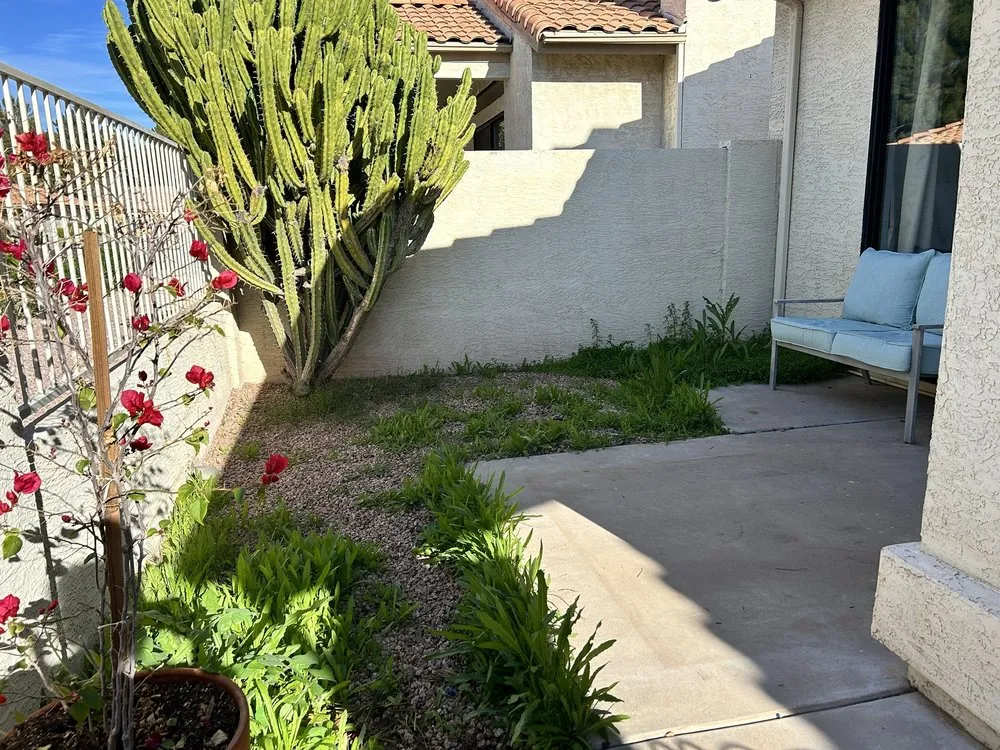 Affordable lawn care service experts serving Phoenix, AZ - Nevarez Landscape
