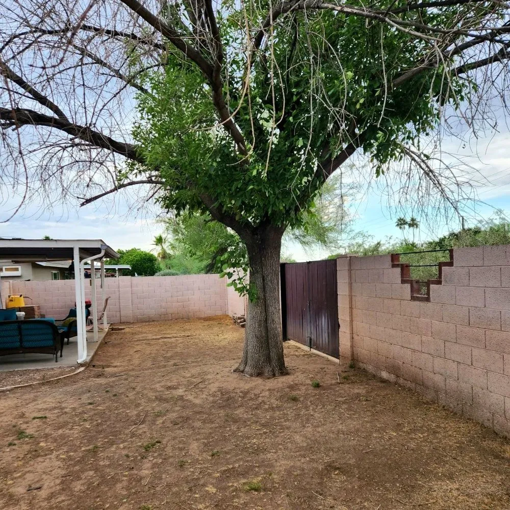 Expert outdoor landscaping in Phoenix, AZ by Nevarez Landscape