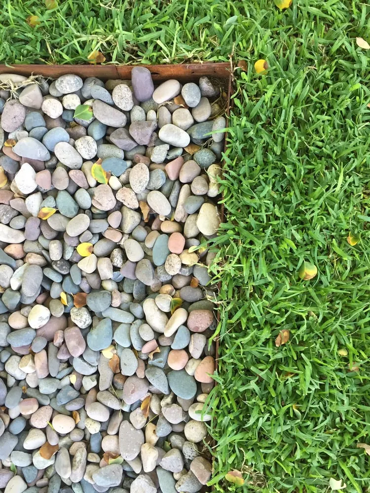 Professional lawn care service in Phoenix, AZ - Nevarez Landscape