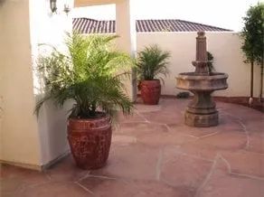 Custom outdoor landscaping in Phoenix, AZ by Nevarez Landscape