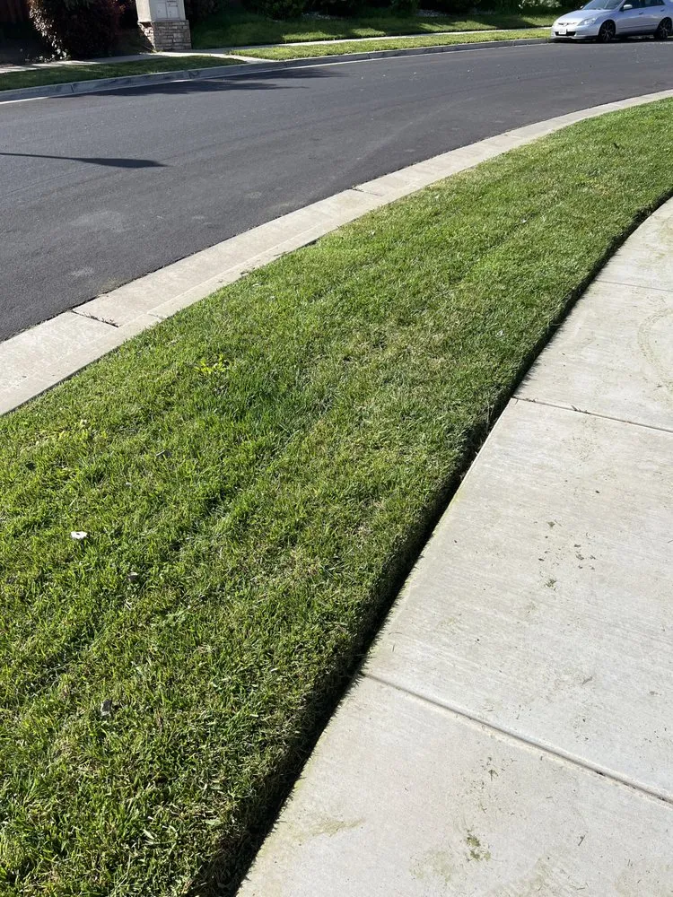 Custom landscape design in Stockton, CA by Nevarez Landscaping