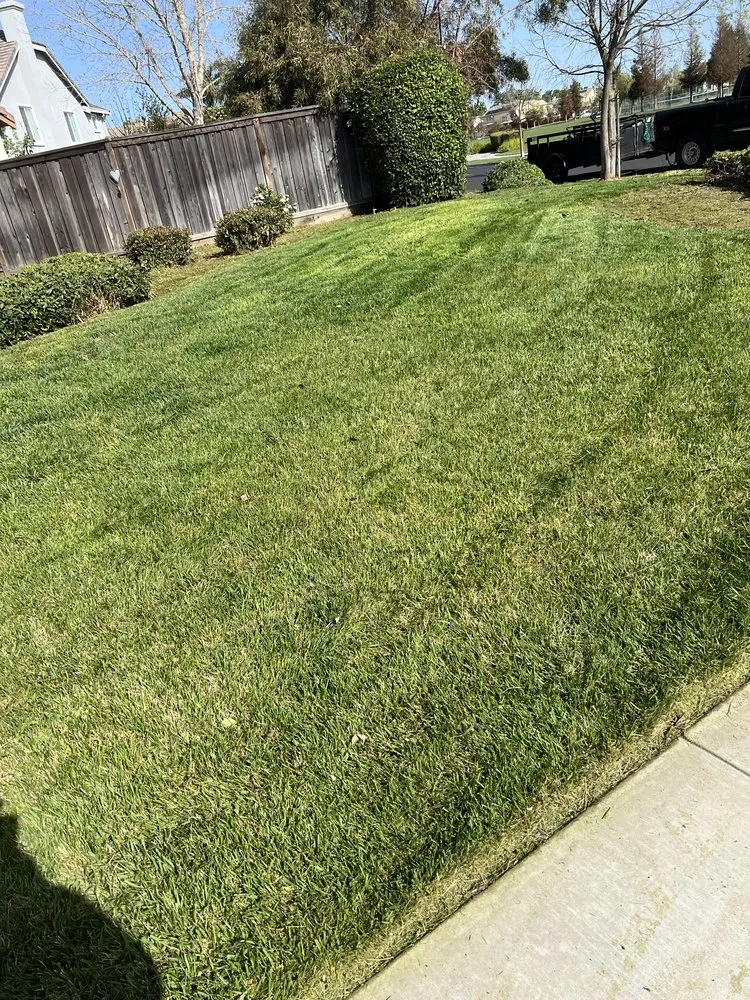 Reliable landscape design near you in Stockton, CA by Nevarez Landscaping