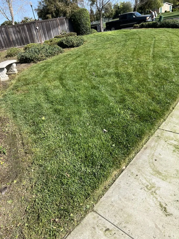 Reliable landscaping services in Stockton, CA - Nevarez Landscaping