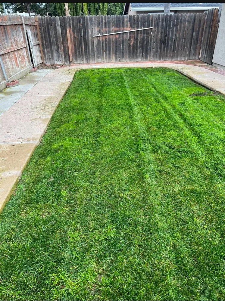 Top-rated lawn mowing service in Stockton, CA by Nevarez Landscaping