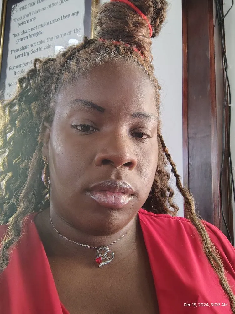 Professional residential landscaping experts serving Avondale, LA - Never Been Clean