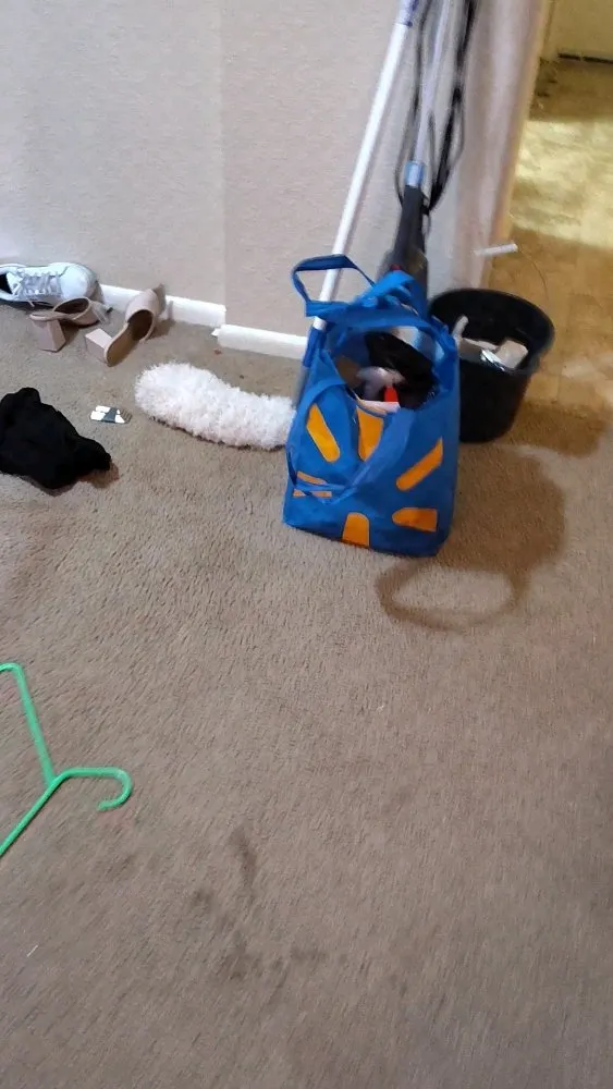 Professional yard cleanup service for outdoor upgrades in Avondale, LA by Never Been Clean