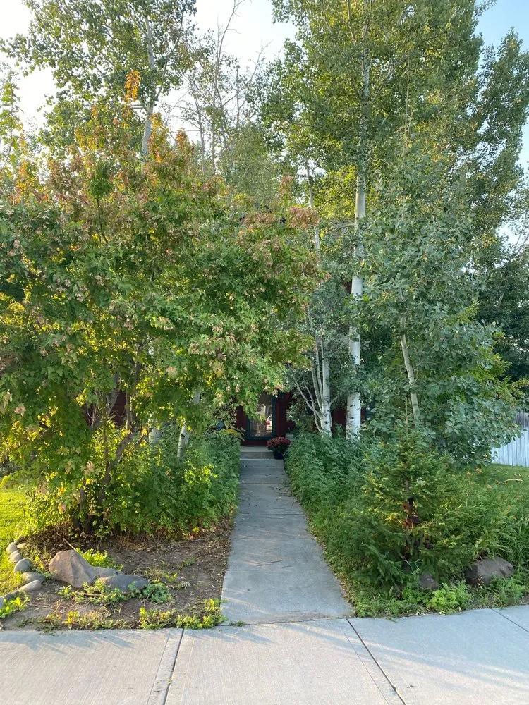 Top-rated landscaping services for homes across Rigby, ID - Never Ending Landscape