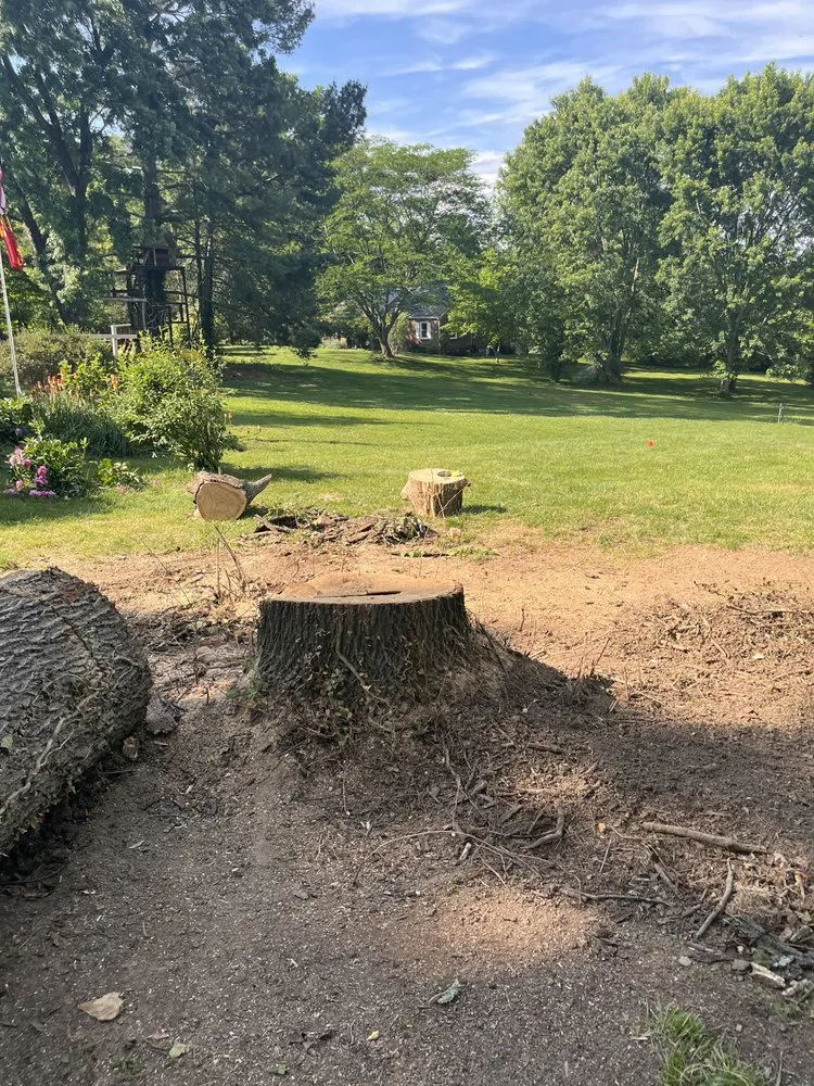 Reliable residential landscaping with custom design in Rockbridge Baths, VA by Never Scared Home Repairs