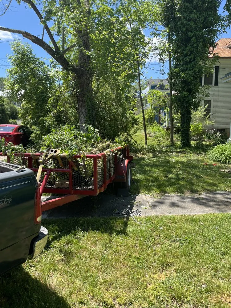 Top-rated yard cleanup service in Rockbridge Baths, VA - Never Scared Home Repairs