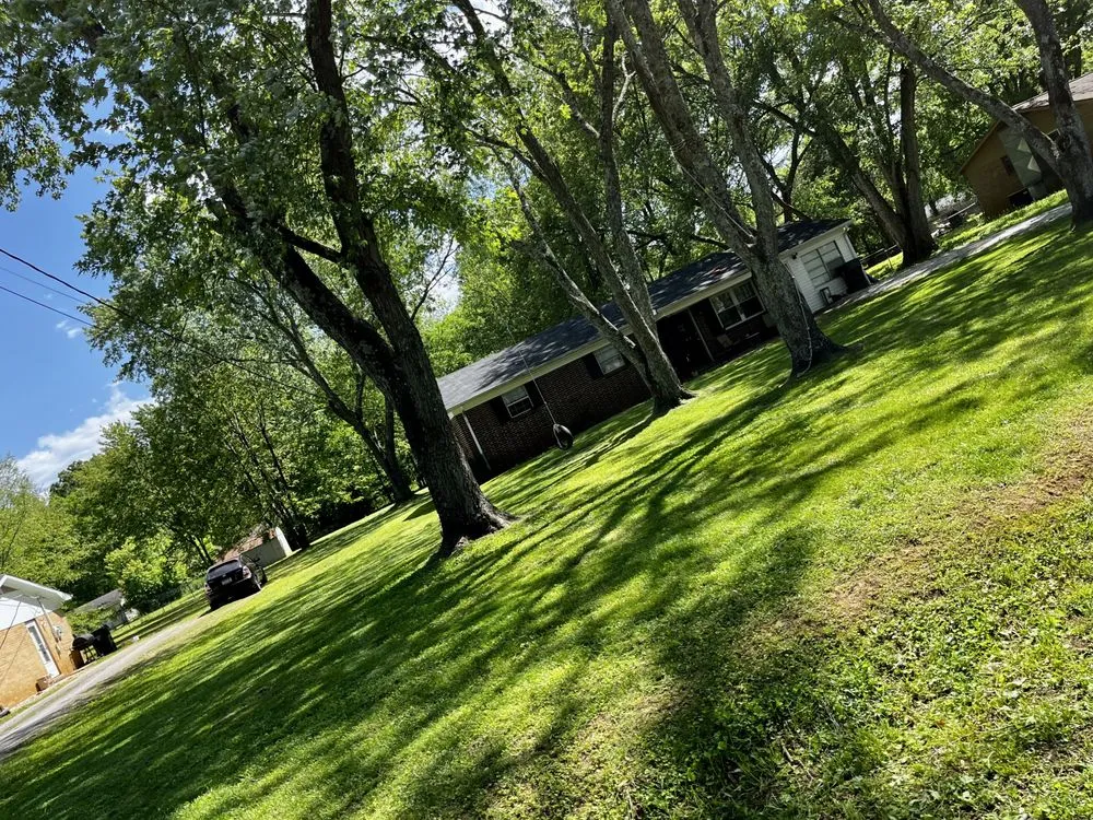 Reliable lawn care service with custom design across Madison, AL - Never Stop Smiling Lawn & Landscaping