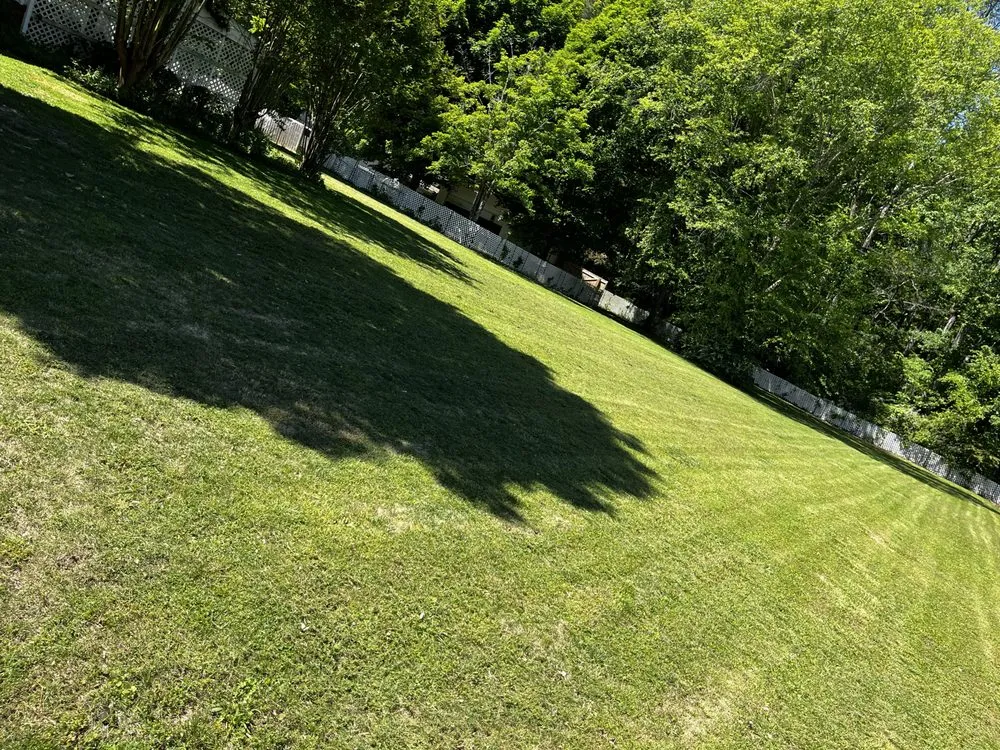 Trusted landscaping services in Madison, AL - Never Stop Smiling Lawn & Landscaping